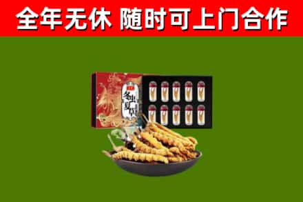 岳阳回收冬虫夏草价格